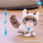 furReal Wag-A-Lots Kitty interaktif oyuncak, 20 cm büyüklüğünde, ses efektli zıplayan pelüş kedi, yumuşak pelüş hayvan, 4 yaşından itibaren Just Play