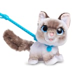 furReal Wag-A-Lots Kitty interaktif oyuncak, 20 cm büyüklüğünde, ses efektli zıplayan pelüş kedi, yumuşak pelüş hayvan, 4 yaşından itibaren Just Play