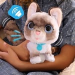 furReal Wag-A-Lots Kitty interaktif oyuncak, 20 cm büyüklüğünde, ses efektli zıplayan pelüş kedi, yumuşak pelüş hayvan, 4 yaşından itibaren Just Play