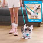 furReal Wag-A-Lots Kitty interaktif oyuncak, 20 cm büyüklüğünde, ses efektli zıplayan pelüş kedi, yumuşak pelüş hayvan, 4 yaşından itibaren Just Play