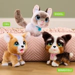 furReal Wag-A-Lots Kitty interaktif oyuncak, 20 cm büyüklüğünde, ses efektli zıplayan pelüş kedi, yumuşak pelüş hayvan, 4 yaşından itibaren Just Play