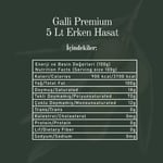 Galli Premium 5 Litre Teneke Soğuk Sıkım Zeytinyağı