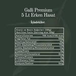 Galli Premium 5 Litre Teneke Soğuk Sıkım Zeytinyağı