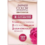 Garnier Çarpıcı Renkler Saç Boyası 1.0 Ekstra Yoğun Siyah - Seçenekler: Tek Boyut (2 paketi), Tek Boyut