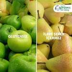 Gerber Organik Muz Yabanmersini Böğürtlen ve Elma Püresi 90 g