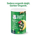 Gerber Organik Pirinçli, Buğdaylı, Muzlu ve Ahududulu Bebek Atıştırmalığı 35 g x 5
