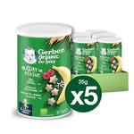 Gerber Organik Pirinçli, Buğdaylı, Muzlu ve Ahududulu Bebek Atıştırmalığı 35 g x 5