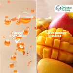 Gerber Organik Yulaflı Elma, Havuç ve Balkabaklı Püre 110g - Seçenekler: Armut, Armut Elma ve Muz, Elma, Elma ve Mango...