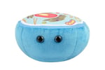 GIANTmicrobes Hayvan Hücresi Peluş, Hayvan Hücresi Modeli, Biyoloji Modeli, Biyoloji Hediyeleri, Bilim Sınıfı Dekoru, Fen Öğretmeni Hediyeleri, Hücre Biyolojisi, Biyoloji Doldurulmuş Hayvanlar