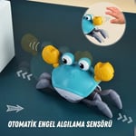 Giffy/Oyuncak Emeklemeye Yardımcı 3 Kademeli Hız Kapatıp Açılabilen Müzikli Sensörlü Dahili Şarjlı Yengeç Yatay Hareketli (MAVİ)