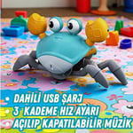Giffy/Oyuncak Emeklemeye Yardımcı 3 Kademeli Hız Kapatıp Açılabilen Müzikli Sensörlü Dahili Şarjlı Yengeç Yatay Hareketli (MAVİ)
