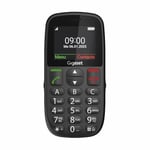 Gigaset GL395 Tuşlu Cep Telefonu Gümüş (Siyah)