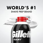 Gillette Regular Tıraş Köpüğü 311GR