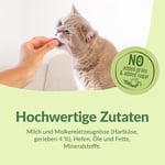 GimCat Peynir rulosu, tahılsız ve vitamin zengini kedi atıştırmalığı, gerçek sert peynirli, 1 torba (1 x 425 g)