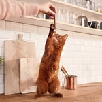 Gimcat Sticks Kümes Hayvanı Etli Tahılsız Ödül Çubukları, 4'lü (4 x 20 Gr)