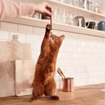 GimCat Sticks Kuzu etli Tavuklu Ödül Çubukları 50 gr - 10lu