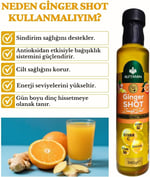 Ginger Shot - Vitamin B2, Vitamin B6, C Vitamini, Zencefil ve Zerdeçal İçeren Şurup (340 g x2 Adet)