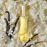 Giorgio Beverly Hills Yellow Edt Spray 90ml