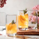 Glaver's 4 adet Highball Bardağı, 463 ml Collins Kokteyl İçme Bardağı Bardağı, Su, Meyve Suyu, Bira ve Kokteyller için Kabarcık Tabanlı Züccaciye, Heavy Base Modern Basic Bardak Bardakları.