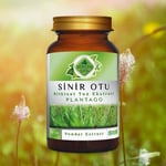 Gökçek Şifa Sinir Otu (Plantago) Toz Ekstresi 80 gr Cam Kavanoz