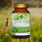 Gökçek Şifa Sinir Otu (Plantago) Toz Ekstresi 80 gr Cam Kavanoz