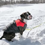 Gooby - Dolgulu yelek, köpek ceketi, manto, fermuarlı kazak ve keten halkalı, kırmızı, beden L - Seçenekler: X-Small chest (~13