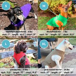 Gooby Polar Yelek Köpek Süveteri - Kireç, Orta - Sıcak Tutan Kazak Polar Köpek Ceketi O-Ring Tasmalı - Kış Küçük Köpek Kazak Kaban - Soğuk H - Seçenekler: X-Small (Around 4-lb), Small (Around 6-lb)...
