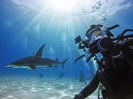 GoPro HERO8 Black için Koruyucu Kılıf (Resmi GoPro Aksesuarı)