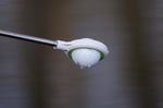 Gotcha JAWZ Golf Ball Retriever - Seçenekler: 6ft Length (10ft max. reach), 14 ft, Ölçü Birimi