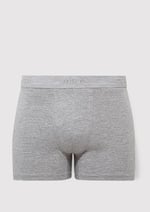 Gri Basic Boxer 092121-83096