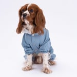 Gri Kürklü Tulum Yağmurluk Küçük Irk Yağmurluk Köpek Kıyafeti Köpek Yağmurluğu L