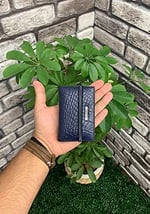 Guard Lacivert Croco Desenli Hakiki Deri Lastikli Spor Kartlık Erkek P1041