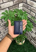 Guard Lacivert Croco Desenli Hakiki Deri Lastikli Spor Kartlık Erkek P1041
