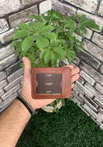 Guard Mat Taba Hakiki Deri Kartlık Erkek P5188
