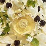 GUESS Bella Vita Women Fragrance Mist Kadın Parfümü 250 ml
