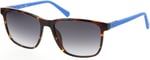 GUESS GÜNEŞ GÖZLÜĞÜ (UNISEX) 00017 52C