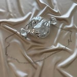 Gümüş Kadın Sugar Model Abiye Çanta