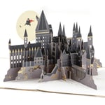 Hallmark Signature Paper Wonder Pop Up Doğum Günü Kartı (Harry Potter)