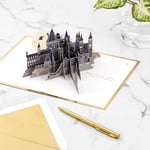 Hallmark Signature Paper Wonder Pop Up Doğum Günü Kartı (Harry Potter)