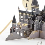 Hallmark Signature Paper Wonder Pop Up Doğum Günü Kartı (Harry Potter)