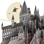 Hallmark Signature Paper Wonder Pop Up Doğum Günü Kartı (Harry Potter)