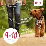 HALTI eğitim tasma kayışı - Çekme önleyici köpek eğitimine yardımcı olan tasma kayışı, yavru köpek yürüyüşleri için mükemmel, kullanımı kolay çift uçlu köpek tasması (L Boy, Si - Bedenler: S, L, Büyük