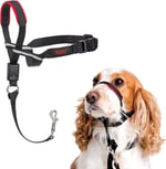 Halti Optifit Baş Tasması - Dolgulu Burun Bandı, Ayarlanabilir ve Yansıtıcı, Orta Boy Köpekler için Profesyonel Çekme Önleyici Eğitim Yardımcısı (M Boy)
