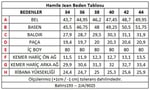 Hamile Şardonlu Kot Pantolon Siyah
