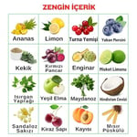 Hanzade Bitkisel Ananaslı & Sandaloz Sakızlı Detox Şurubu Kürü Bromelain 475 ml 2'li Set Güçlü Antioksidan Formül