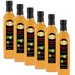Hanzade Bitkisel Enginar Sirkesi 500 ML x 6 Adet Doğal Fermantasyon İçilebilir Katkısız Cam Şişe