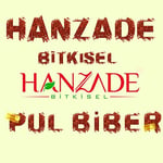 Hanzade Bitkisel Pul Biber İnce Orta Acılı 250 Gr