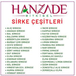 Hanzade Bitkisel Zencefilli Alıç Sirkesi 500 ML x 3 Adet Doğal Fermantasyon İçilebilir Katkısız Cam Şişe