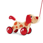 Hape Pepe ve Arkadaşları Çek Çek