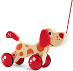 Hape Pepe ve Arkadaşları Çek Çek